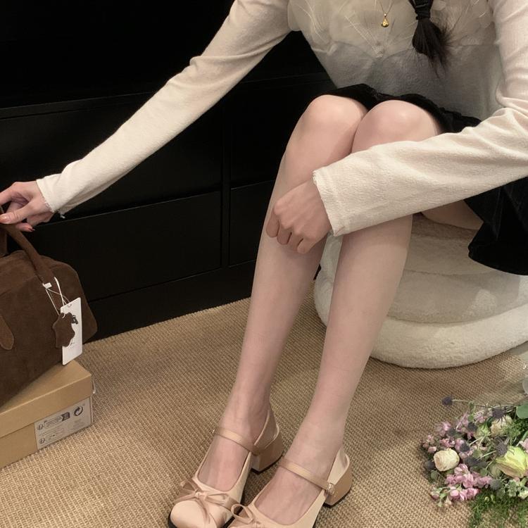 Mary Jane Thick Heel Single Shoes Women's 2025 Spring New with Skirt French Word with Fairy Style Temperament Small Leather Shoes