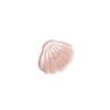 Ocean Animal Mini Hairpin Acetate Small Hairgrips Simple Shell Shape Hair Clips  Female/Children