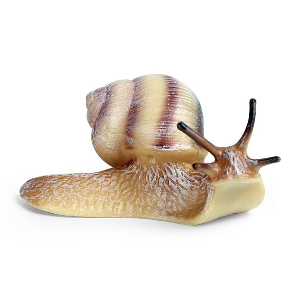 Decor Micro Landscape Decor for Fairy Garden Mini Animal Figures Snail Statue Snail Figurine Toy