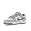 Nike Dunk Low SE Light Carbon Men Sneakers Grey White Platinum-Tint FJ4188-100