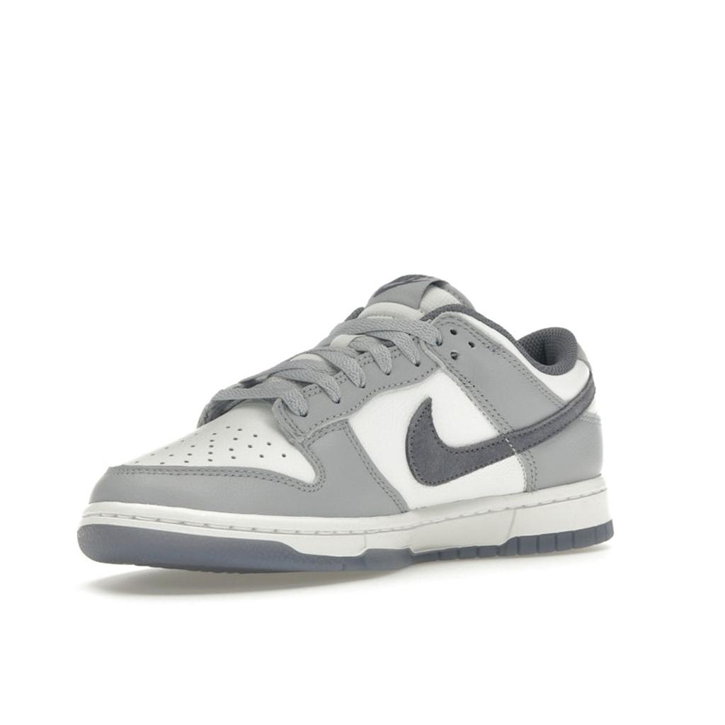 Nike Dunk Low SE Light Carbon Men Sneakers Grey White Platinum-Tint FJ4188-100