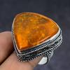 Baltic Amber Handmade 925 Sterling Silver Jewelry Ring Size 9 F4s34