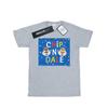 Disney Womens/Ladies Chip N Dale Blue Frame Cotton Boyfriend T-Shirt