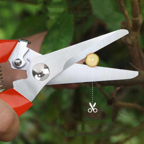 Садовые ножницы с нескользящей ручкой для сбора фруктов из нержавеющей стали, цветок, бонсай, ветка, секатор, садовый инструмент, садовые принадлежности