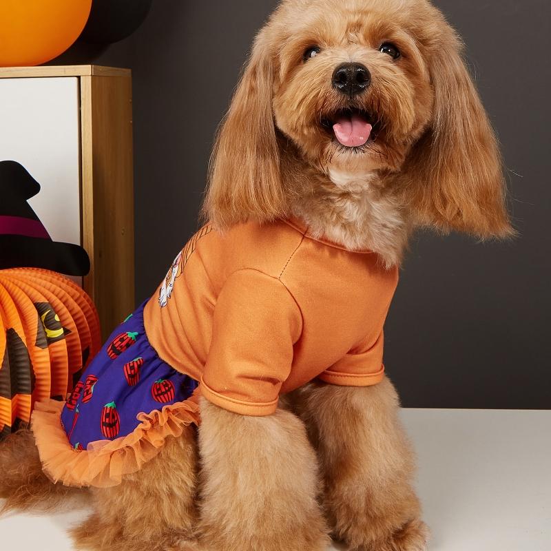 Halloween Pet Dress with Gnome Print, Pumpkin Patterns & Tulle Skirt, Orange and Purple Options for Small Dogs Halloween Parties