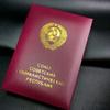 Soviet Medal Development Russian Federation Non Black Land Medal Commemorative Medal Honorary Emblem Metal Medal