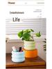 Nordic Style Cement Flower Pot - Creative, Simple Succulent Decor for Living Room or Study Desk.