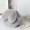 Plush Rabbit Bag Women Cute Handheld Plush Bag Autumn Winter Girls Chain Crossbody Bags Rabbit Ear Clip Bag