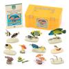 Colorata Picture Book of Fish That Live In Coral Reefs 12 Species Explanation Realistic Figure Birthday Present Gift Sanitation Act Fish Toy Figure