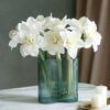 2 шт. Искусственные стебли цветов амариллиса, реалистичные на ощупь, большие тропические цветы, цветы кливии для ваз, домашний офис, декор