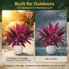 Large Realistic Artificial Boston Fern & Dragon's Blood Tree Artificial Turf UV Resistant Red Cordyline Ti Plants Red/Pink Vibrant Purple Leaves