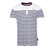 Men's Murphy Striped T-Shirt with Button-Down Collar
