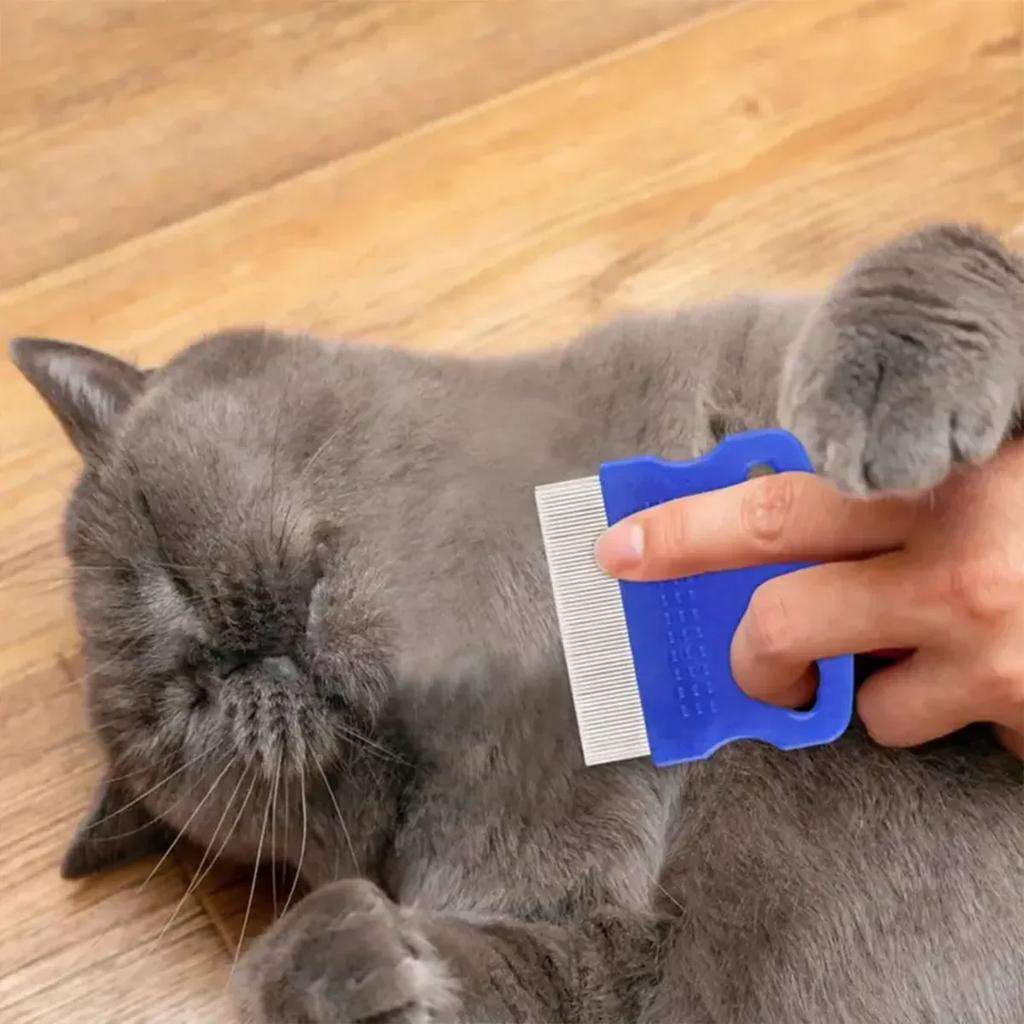 6 шт./набор Расческа от блох для домашних животных Расческа от головных вшей из нержавеющей стали Расческа для груминга кошек Удаляет слизь и корочки Маленькая расческа от вшей и блох