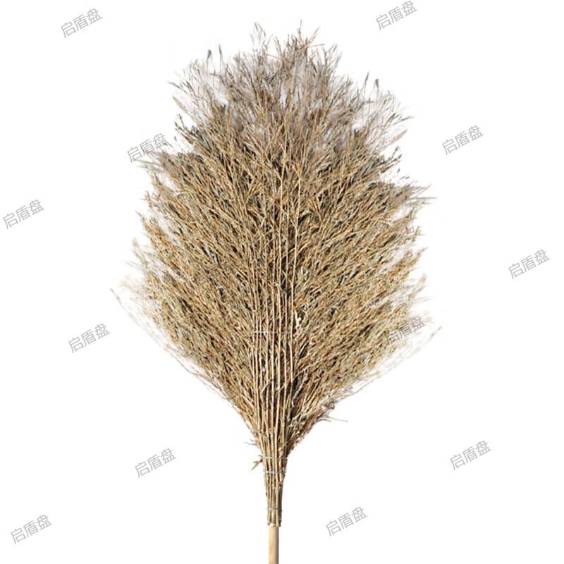 Qidun Heavy-Duty Bamboo Road Broom