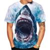 Marine Animal Cool Shark Pattern 3D Printed T-Shirts Summer Casual Short Sleeve O-Neck Loose Street T-Shirts
