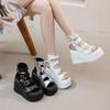 Summer New Roman Style Platform Sandals 2025 New Women's Niche Design Open-toe Buckle Sandals Tide