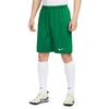 Nike Dri Fit Casual Shorts Men's Pine Green IB8654-302