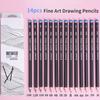 14Pcs/Set Drawing Pencil Set Wooden Professional Art Supplies Hard/Medium/Soft Sketch Charcoal Pencils Art Painting Stationery