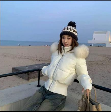 Source factory supply hooded large fur collar cotton clothes women's short waist thickened filled women's autumn and winter coats