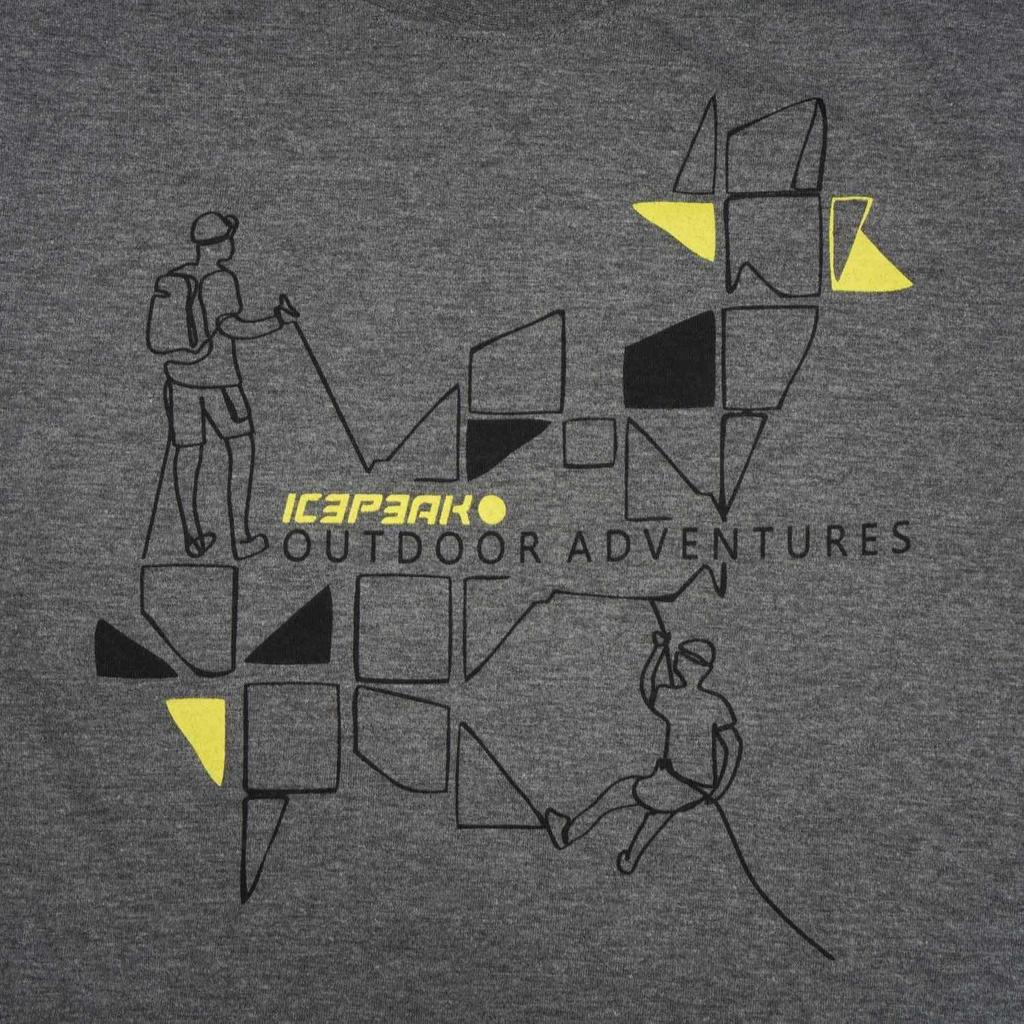 Мужская функциональная футболка Icepeak Beeville