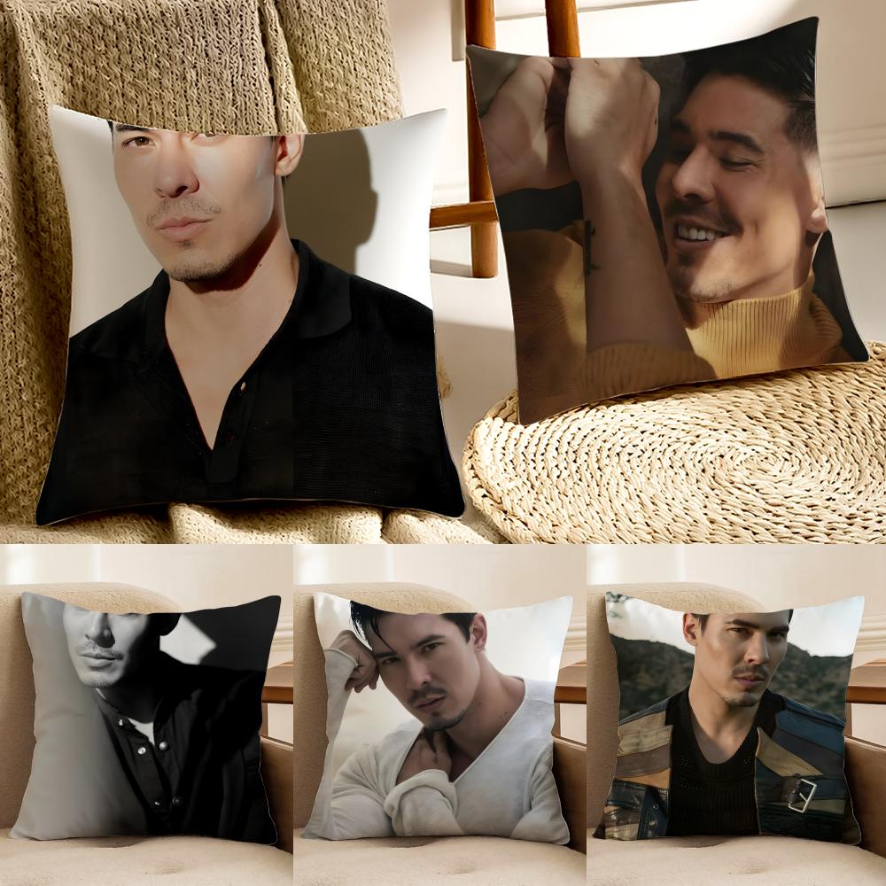 LLewis Tan Movie Star Peripheral Cushion Cover Pillowcase Antidustmite living Room Sofa Decor Cushion Room