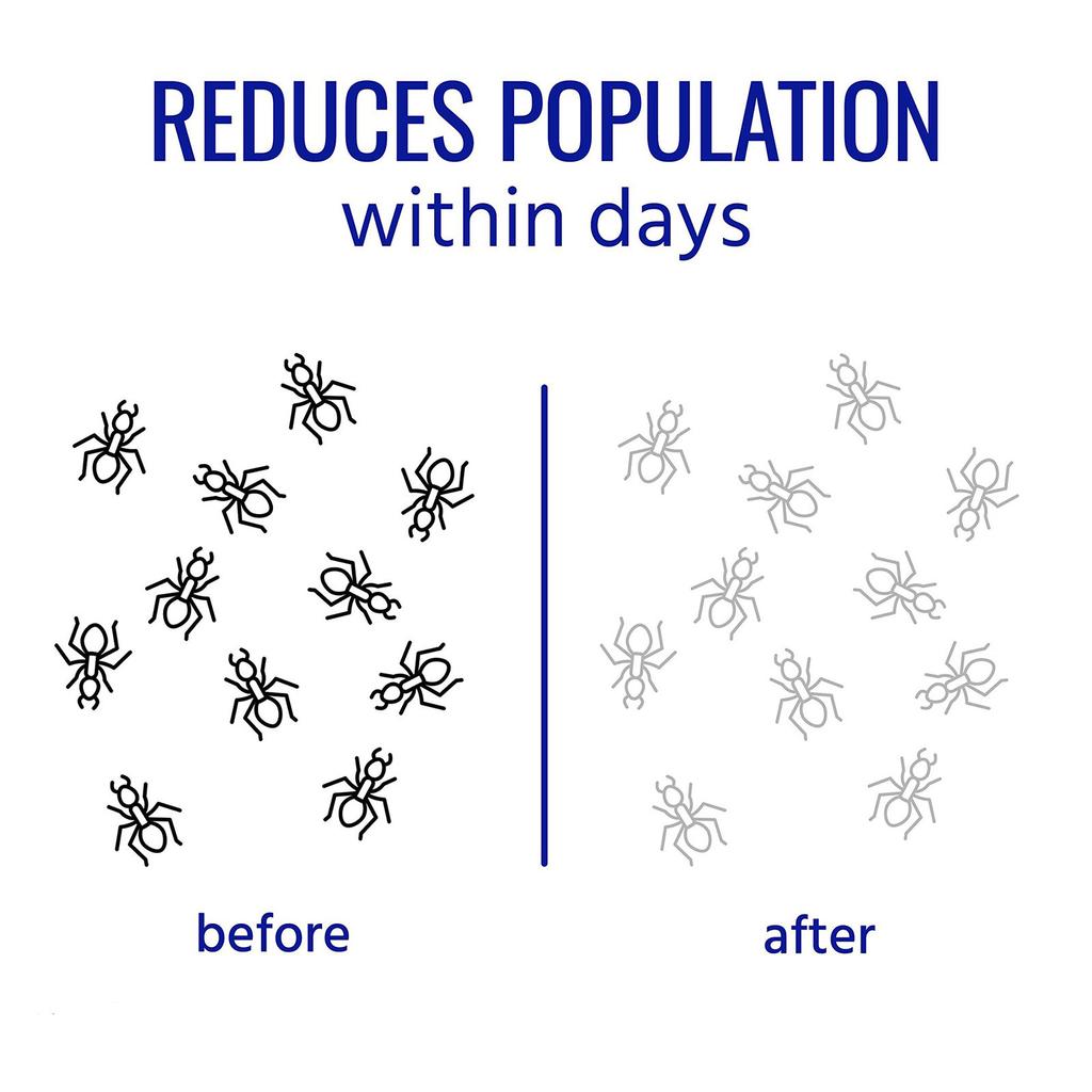 Ant - Жидкость эффективно уничтожает муравьев - 18 станций для подсчета эффективно уничтожает муравьев в помещении 20 мл
