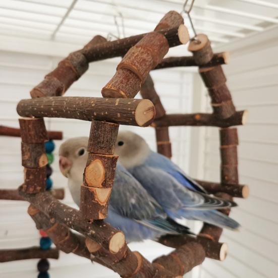 Игрушка для восхождения попугая, высокая прочность, естественное изменение формы, свободная устойчивость к укусам, простая установка