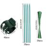 Phalaenopsis Orchid Bamboo Skewer Plant Support Set with Ties and Clips