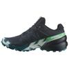 Кроссовки мужские Salomon Speedcross 6 GORE-TEX Carbon Tahitian Tide Черный Белый L47465300