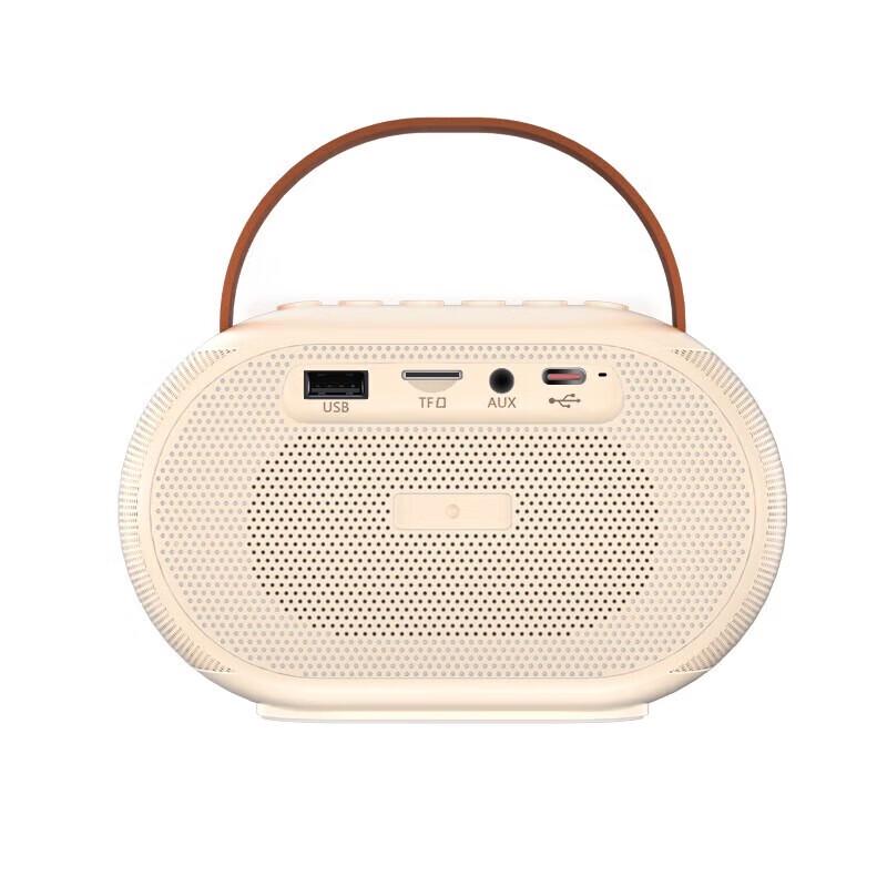 Bluetooth-караоке-колонка WOPOW AP08, штекер CN (адаптер в комплекте) (Китайская версия)
