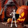 Skeleton Action Figure Movable Skeleton Doll For Halloween Human Bone Model Toys Figure Decoration For Collecting Display Indoor