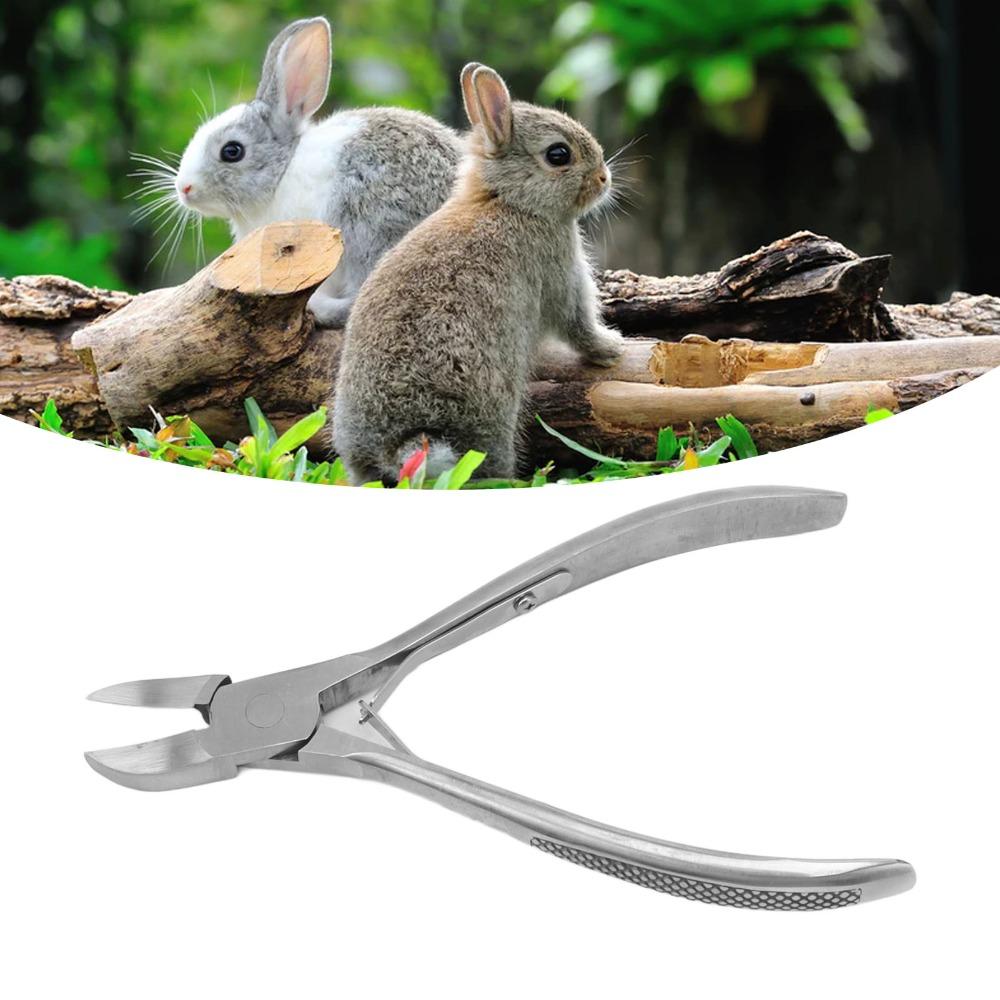 Stainless Steel Piglet Teeth Cutter Polished Surface Ergonomic Handle Pig Tooth Nipper Integral Locking Spring Rust Protection