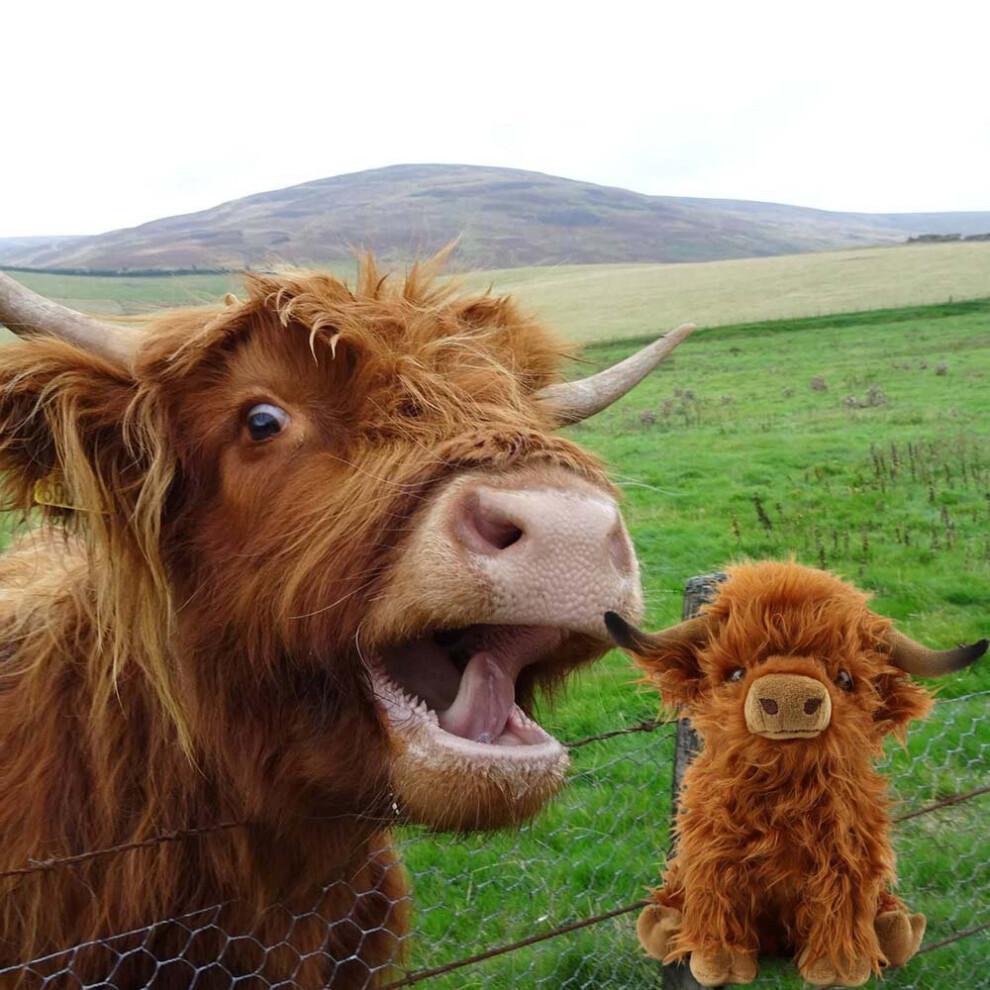 Highland Cow Soft Toy Living Nature Teddy Plush Cute Cuddly Toys Kids