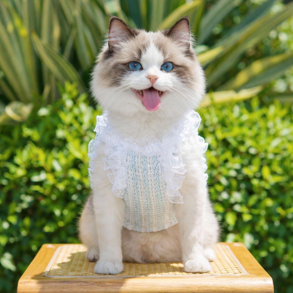 Lace Bow Cat Dog Vest Hollow Pet Princess Dress Cute Pet Shirt Dog Cat Supplies