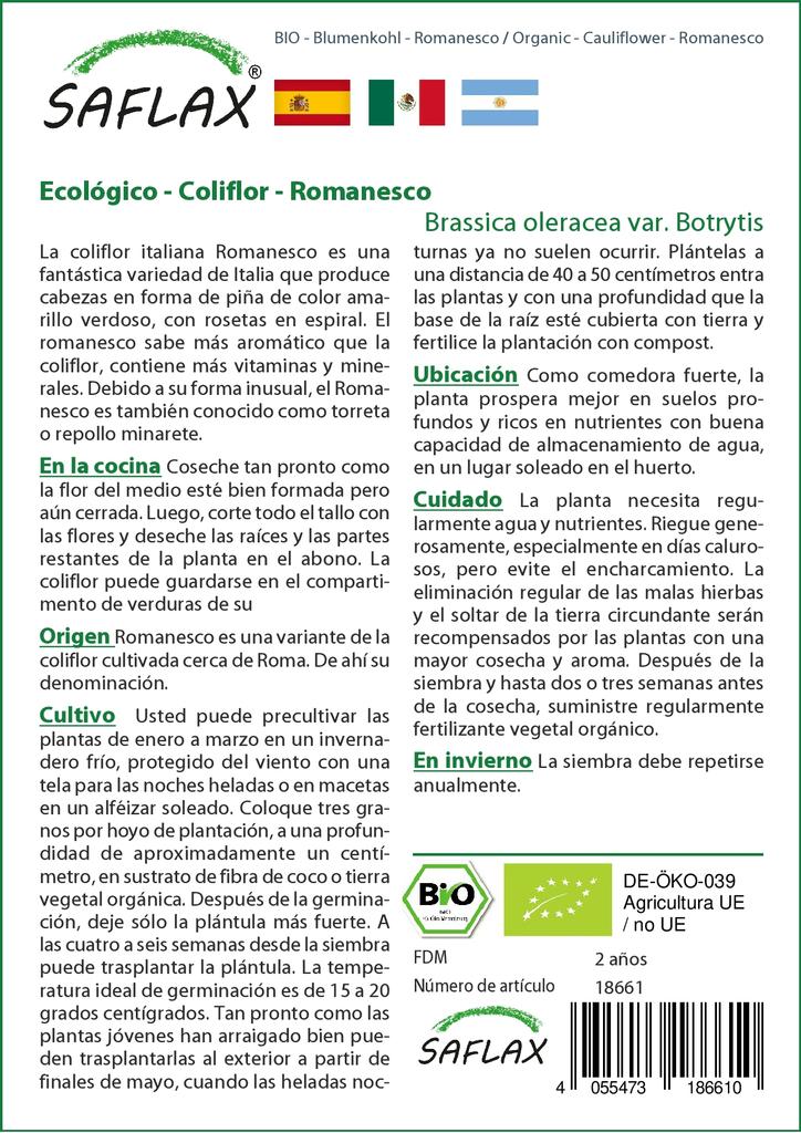 SAFLAX Garden in the Bag - Органический - Цветная капуста - Романеско - 50 семян - С субстратом в подходящем пакете - Brassica oleracea