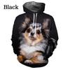 New Fashion Animal Dog Chihuahua 3D Printing Hoodie Men Ladies Casual Hoodie Pullover