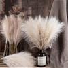 1/5 шт. INS Style Reed Pampas Grass Искусственные цветы Высококачественный букет Искусственные растения Бохо Домашний декор Спальня Сад Балкон