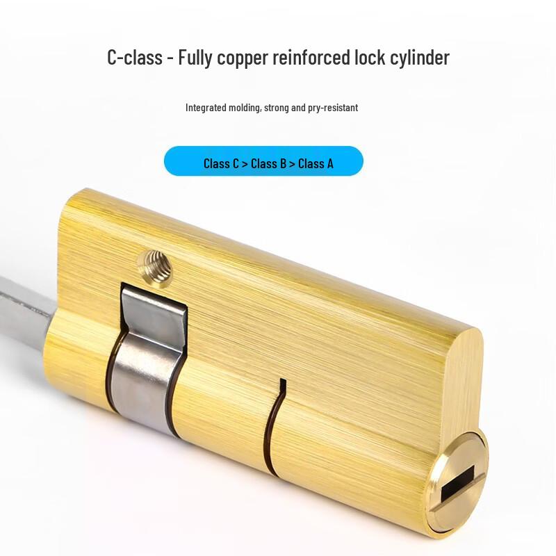 ZUCON Smart Fingerprint Door Lock F691P CN plug (adapter included)
