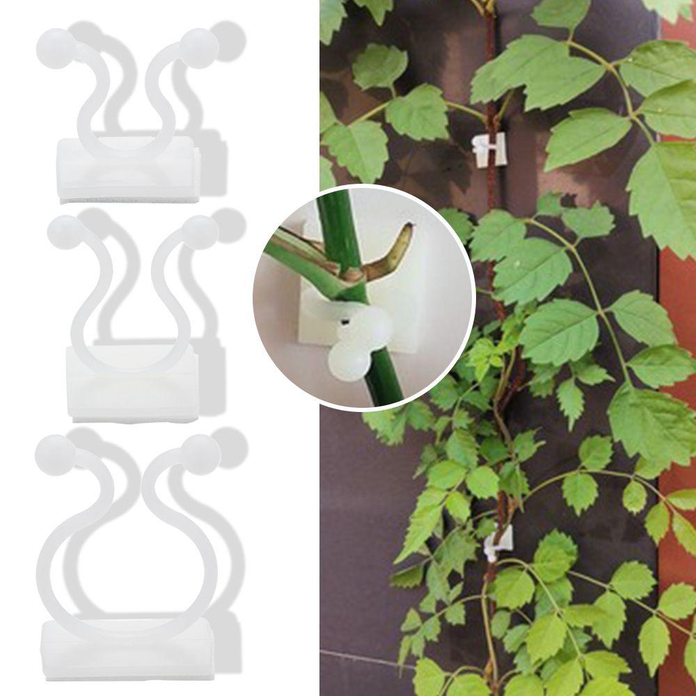 10PCS Invisible Plants Holder Greenhouse Bracket Wall Sticky Hook Plant Clip Rattan Clamp Wall Vines