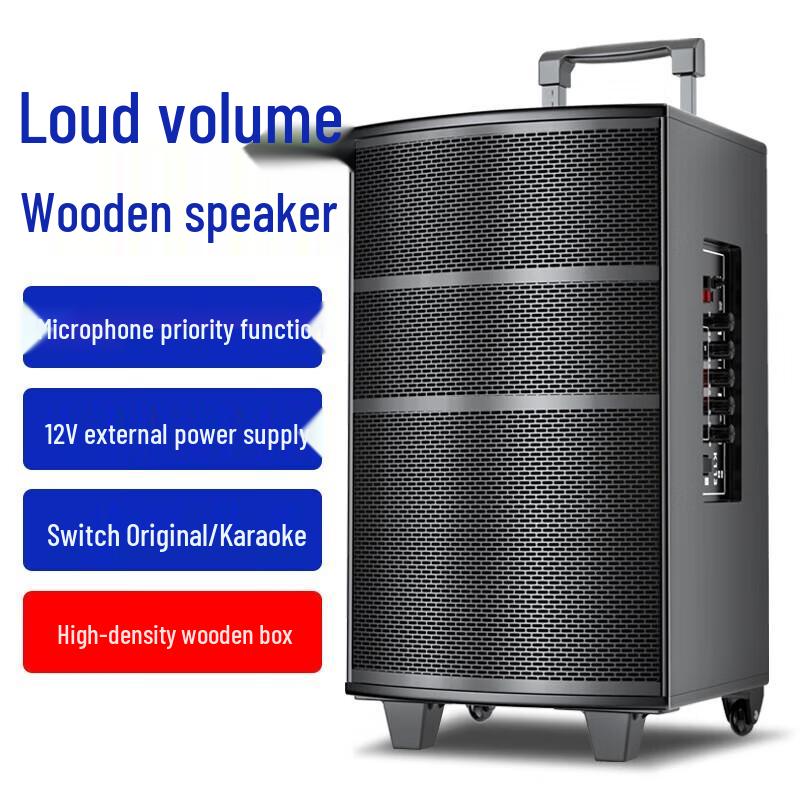 Newmine L23 Outdoor Bluetooth Karaoke Speaker