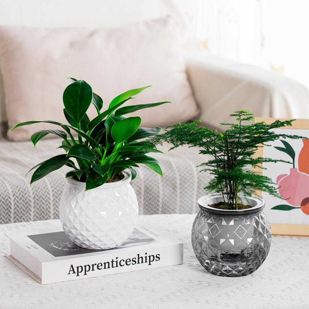 Съемный цветочный горшок Пластиковый Офисный Декор Бонсай Новый Горшок для гидропонных растений