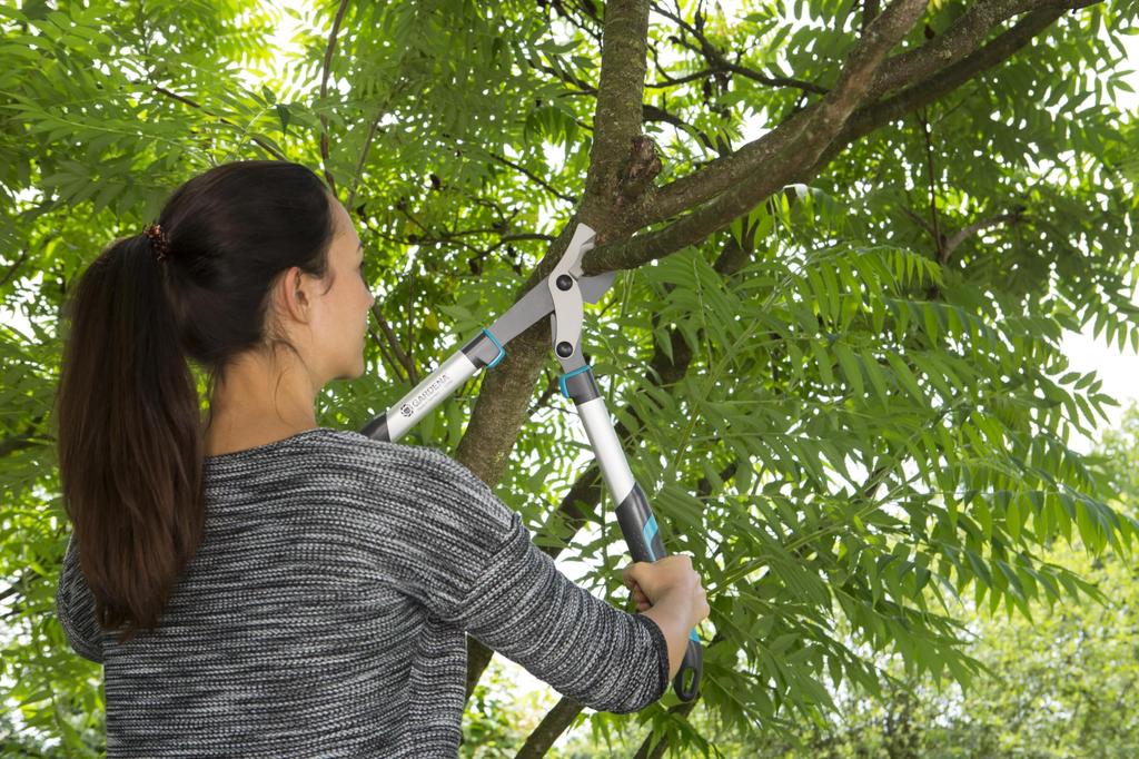 GARDENA Branch Cutting Thick Branch Cutting Cutting Diameter Bypass Grass Branch EnergyCut 600B Made In Up To 25 Years Product Up To 25 Years Shears,