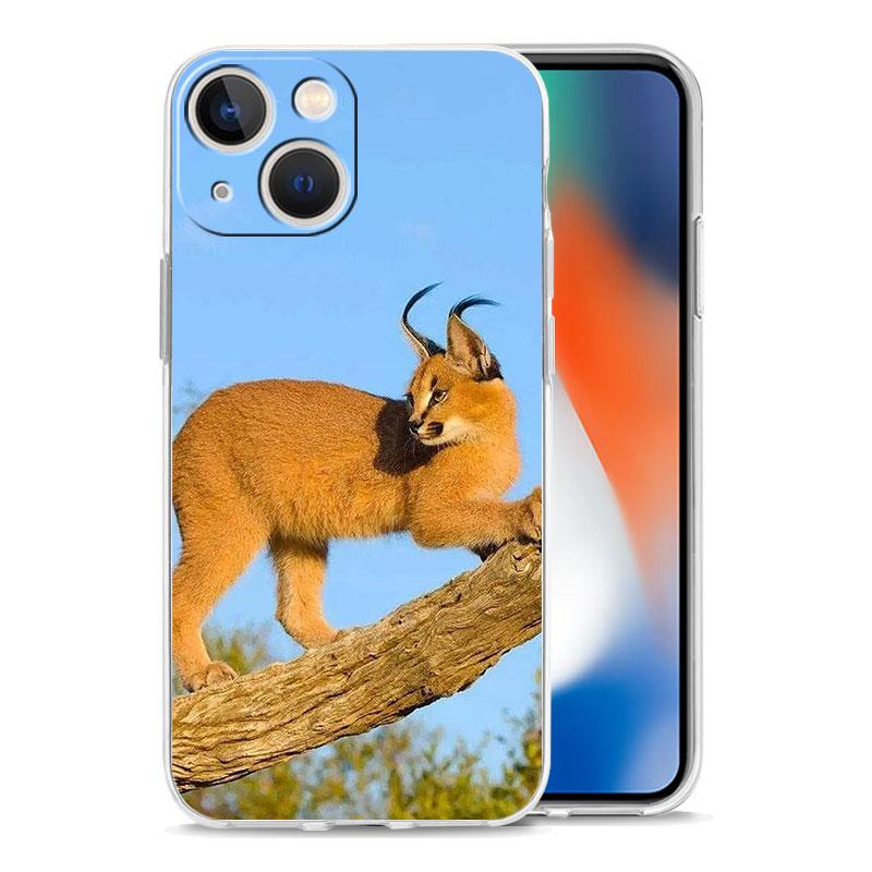 Чехол для телефона iPhone 17 Air Cases iPhone 16 15 12 13 14 Pro Max SE 7 8 Plus iPhone11 Прозрачный чехол Африканская рысь Каракал