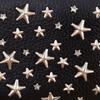 JIMMY CHOO Zip Around Purse Star studs black leather/Rhinestone Women Used