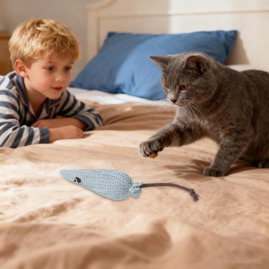 Игрушки для кошек для саморазвлечения и снятия скуки, кошачья мята, устойчивые к износу, прорезыватели, плюшевая дразнилка-кошечка, товары для питомцев, игрушки для кошек