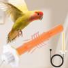 Non-slip USB Heated Bird Perch Easy To Install Bird Cage Warmer Stick  Peony Parakeet