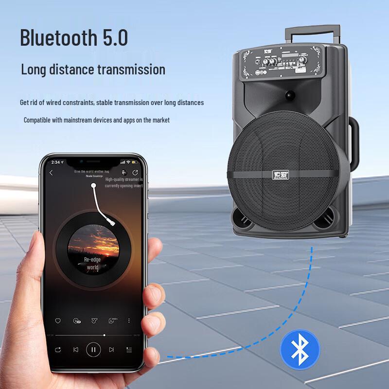 Soli T82 Портативная караоке-колонка высокой мощности