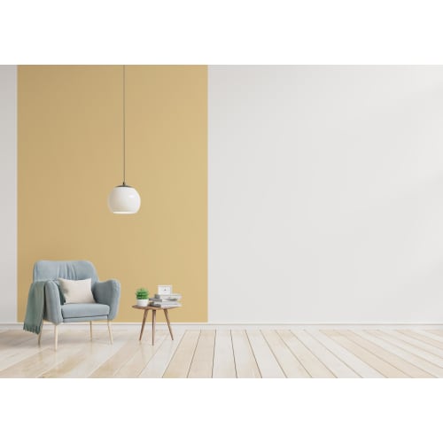 Fleece Wallpaper FWS-02 45cm X 250cm BE