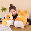 Плюшевая игрушка Корги Животное Животное Плюшевая игрушка Подушка Украшение для машины Фестивальная кукла Подарок