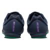 Nike Шиповки Air Zoom Rival D 10 'Obsidian Wild Berry' 907566-406